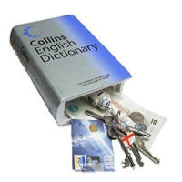 Collins Dictionary Safe Can Book