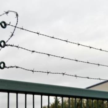 Barbed Wire For Security Topping From Darfen Durafencing