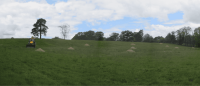 Bespoke Land Assessment Solutions In Hertfordshire