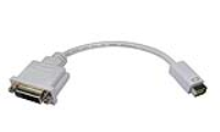 Mini-DVI Male to DVI 24+1 Female Adapter Cable White 13cm