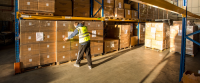 Stores, Despatch and Logistics Services