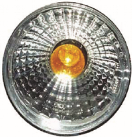 Rear Lamps indicator light