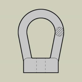 Bow Nuts