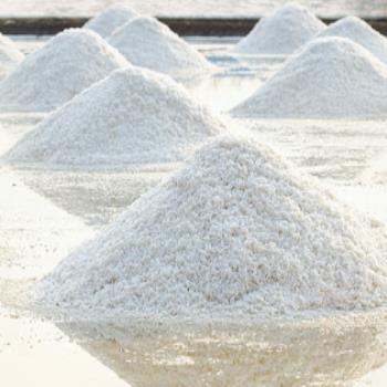Salt Processing