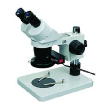 Microtec HM2 Bulk Analysis Stereomicroscope
