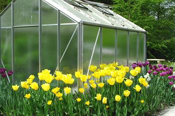 High Quality Greenhouse Glass Supplier