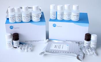 Bovine Serum Albumin(Serum Albumin)  Fine Biotech ELISA kit