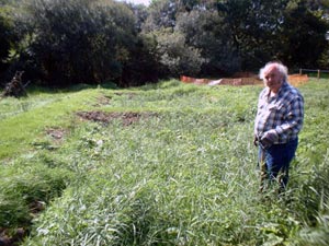 Soft Landscaping Solutions Yorkshire