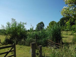 Community Regeneration Solutions