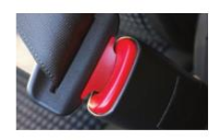 Lap seat belts static or inertia reel 