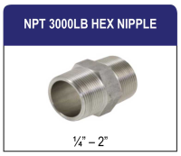 NPT 3000LB Hex Nipple