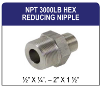 NPT 3000LB Hex Reducing Nipple