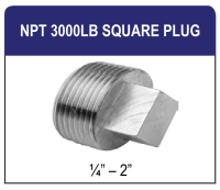 NPT 3000LB Square Plug