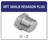 NPT 3000LB Hexagon Plug