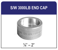 S/W 3000LB End Cap