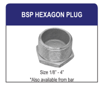 BSP Hexagon Plug