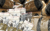 Drugs Disposal and Destruction