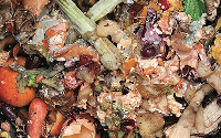Foodstuffs and Catering Waste