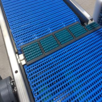 Customised Conveyor System Design