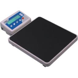WPT series personal scale EC approved Class (III)