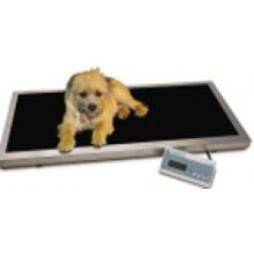 VS 250E Veterinary scale for larger dogs