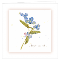 Forget Me Nots Cards