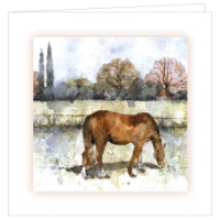 Grazing Horse Cards