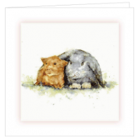Rabbit and Guinea Pig Cards