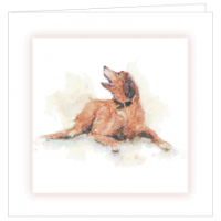 Bereavement Card With A Brown Dog Picture 