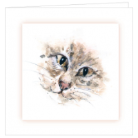 Bereavement Card With A Cat Face Picture 