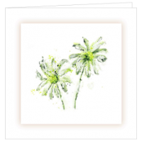 Bereavement Card With  Daisies Picture