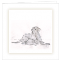 Dog and Cat Sketch Bereavement Cards