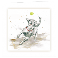 Dog with A Ball Bereavement Card