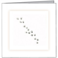 Rodent Paws Prints Bereavement Cards
