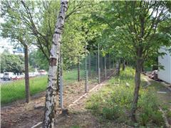 Freestanding Electric Fencing