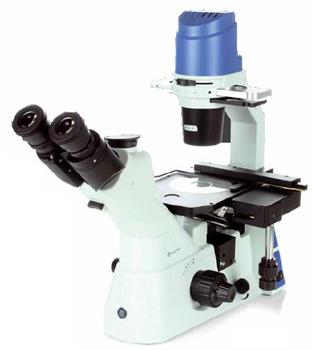 Euromex Oxion Inverso Microscopes for Life Sciences