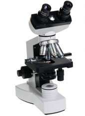 Euromex X/C Series Microscope