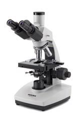 Novex B series Microscopes