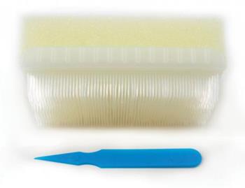 Scrub Brush with Chlorhexidine Sponge and Nail Pick