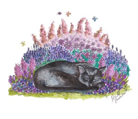 Pet Berievment card with Sleeping Black Cat Picture