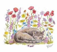 Pet Condolence card with Sleeping Tabby Cat Picture