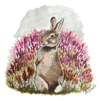 Personalised Sympathy card with Rabbit in Heather Picture