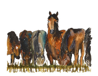 Veterinary Condolence card with Horses Grazing Picture
