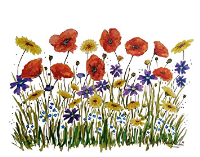 Veterinary Condolence card with Meadow Flowers Picture