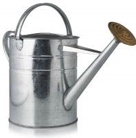 9 Litre Galvanised Watering Can 2 Gallon