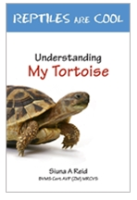 Guide To Caring For Tortoise