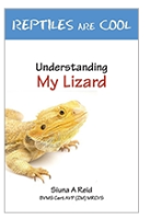 Guide To Caring For Lizards
