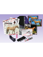 AAH Light - Complete Equine Package - Red Light