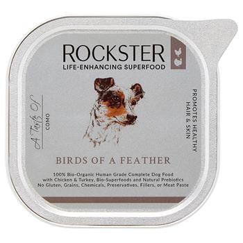 Birds of a Feather - 80.5% bio-organic chicken and Turkey, Bio- Mango &  Bio-Blueberries– Supports Hair & Skin Health 195g