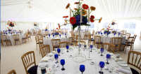 Ivory Pleated Marquee Linings